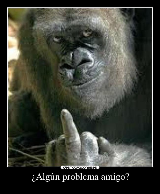 ¿Algún problema amigo? -
