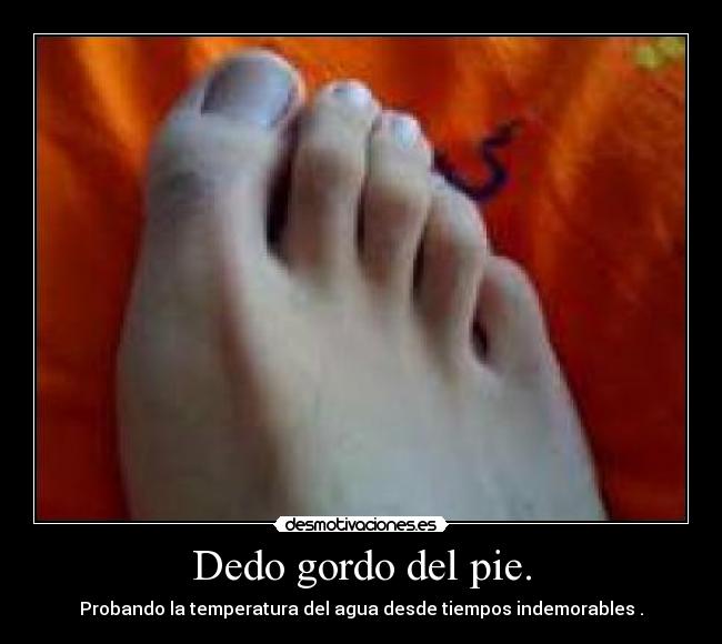 Dedo gordo del pie. - 