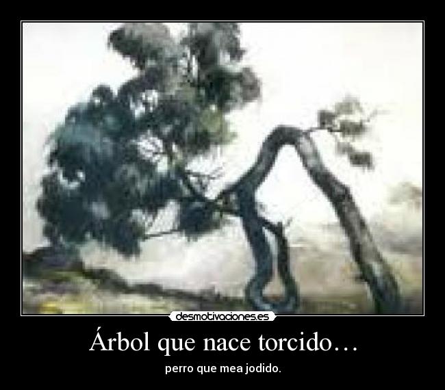 Árbol que nace torcido… - 
