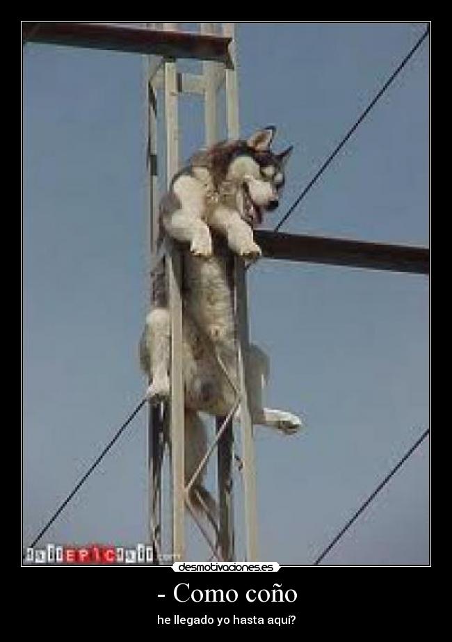 - Como coño -