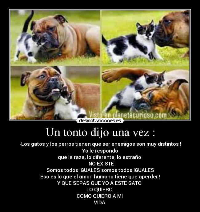 Un tonto dijo una vez : - 