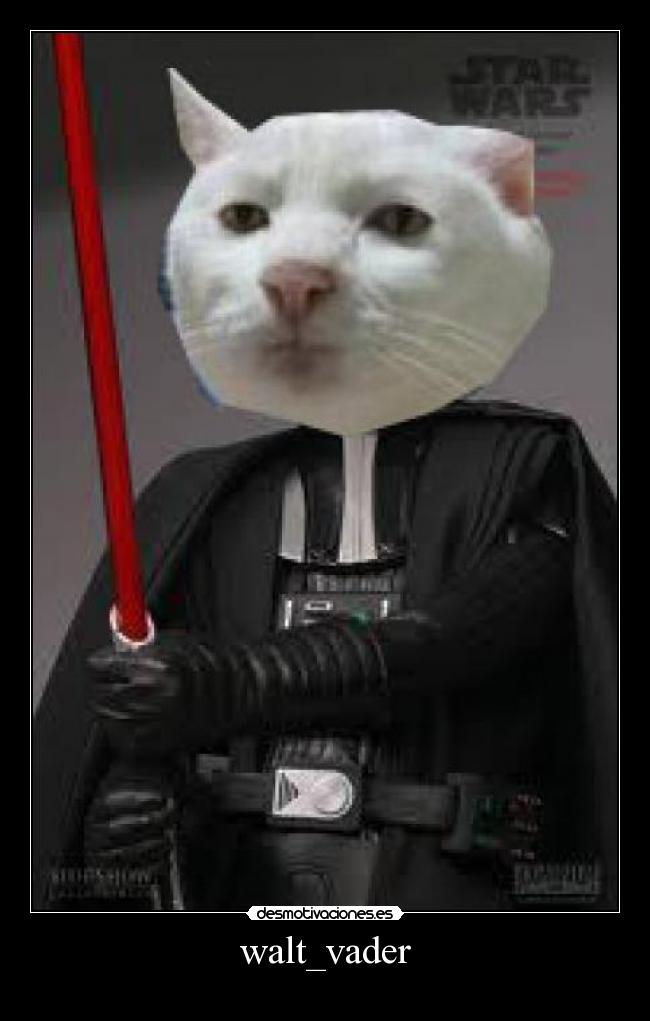 walt_vader -