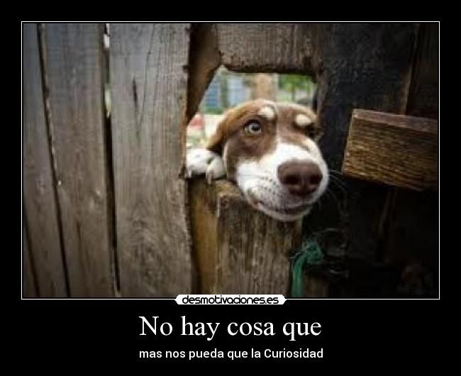 No hay cosa que - mas nos pueda que la Curiosidad