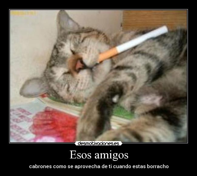 Esos amigos -