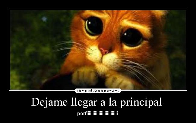 Dejame llegar a la principal -