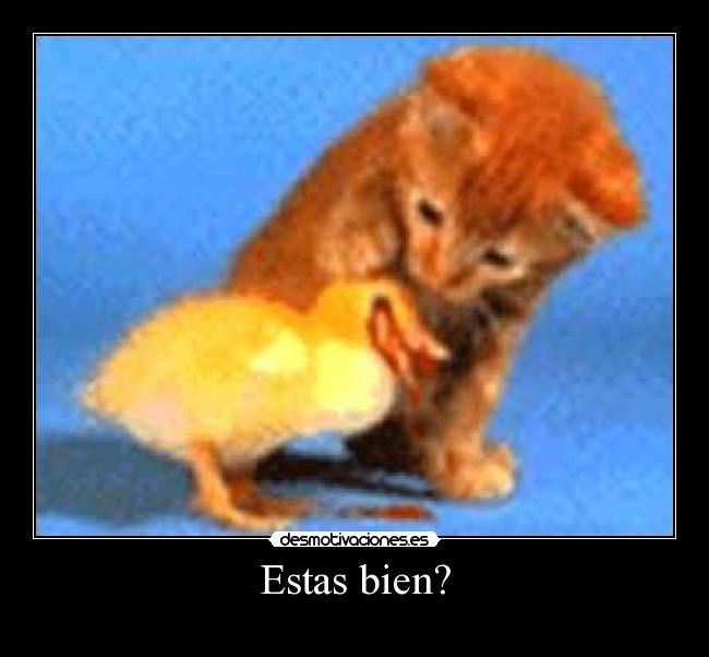 Estas bien? -