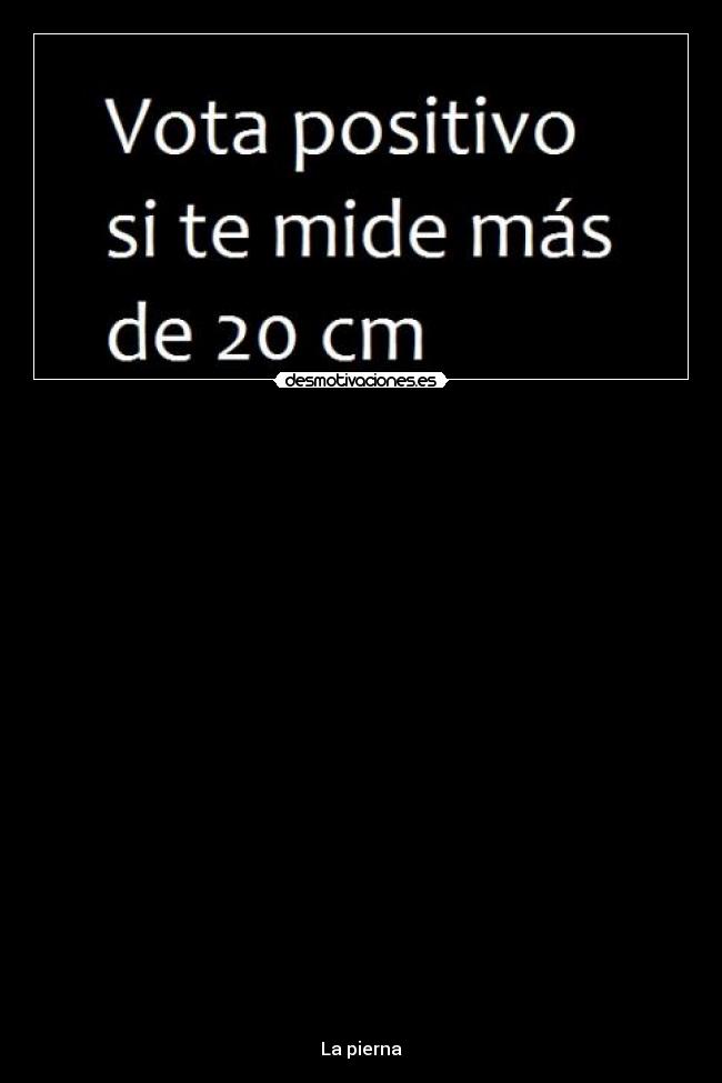   - 
























La pierna