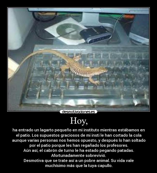 carteles desmotiva kevin eres capullo desmotivaciones