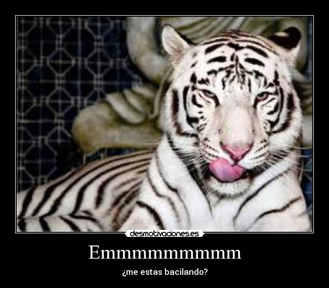 Emmmmmmmmm - ¿me estas bacilando?