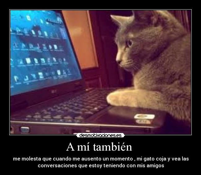 A mí también -