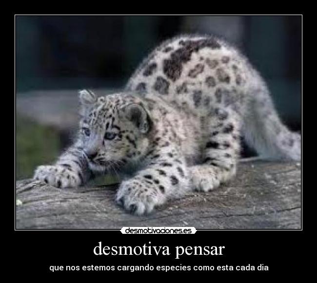 desmotiva pensar - que nos estemos cargando especies como esta cada dia