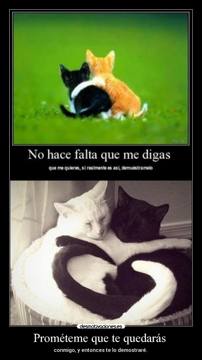 Prométeme que te quedarás - conmigo, y entonces te lo demostraré.