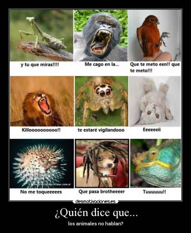 ¿Quién dice que... - 