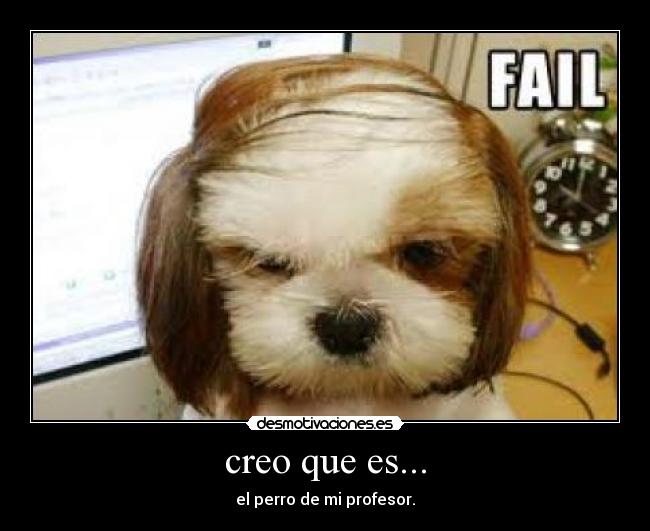 carteles animales desmotivaciones