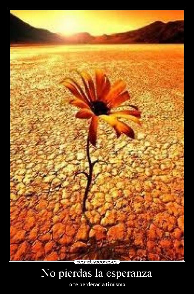 No pierdas la esperanza - o te perderas a ti mismo