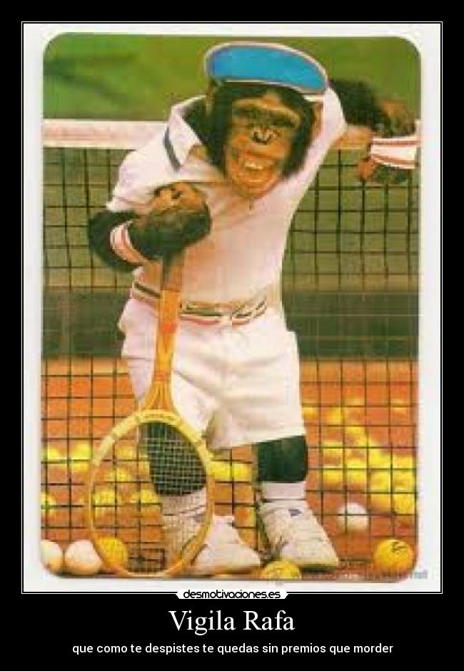 Vigila Rafa - que como te despistes te quedas sin premios que morder