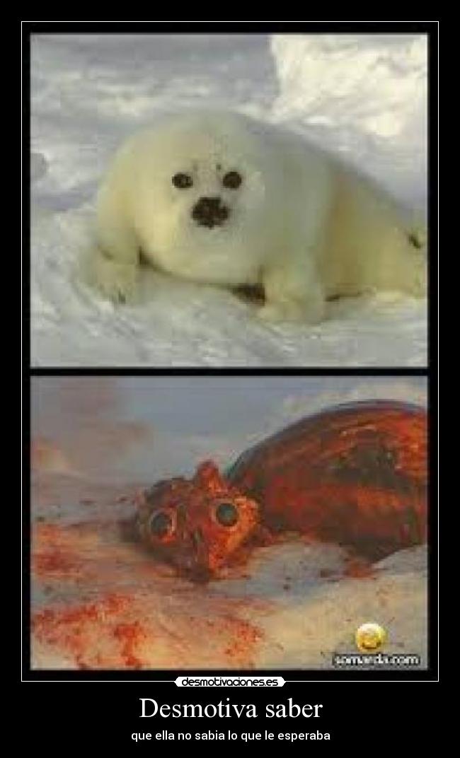 Desmotiva saber - 
