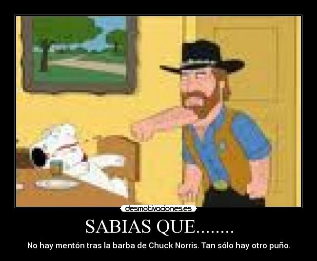 SABIAS QUE........ - No hay mentón tras la barba de Chuck Norris. Tan sólo hay otro puño.