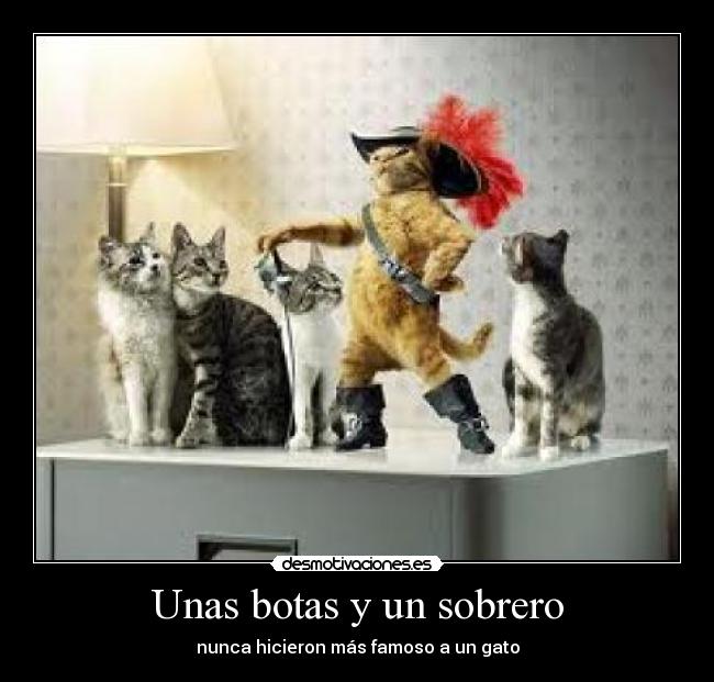 Unas botas y un sobrero - 