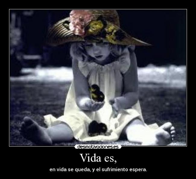 Vida es, -