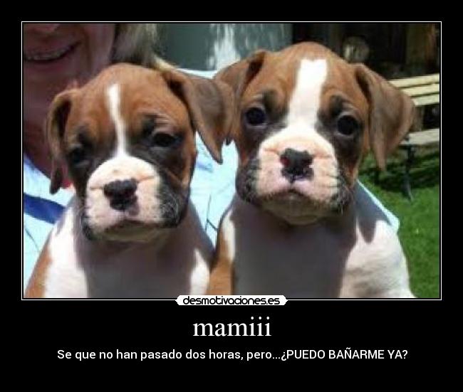 mamiii - 