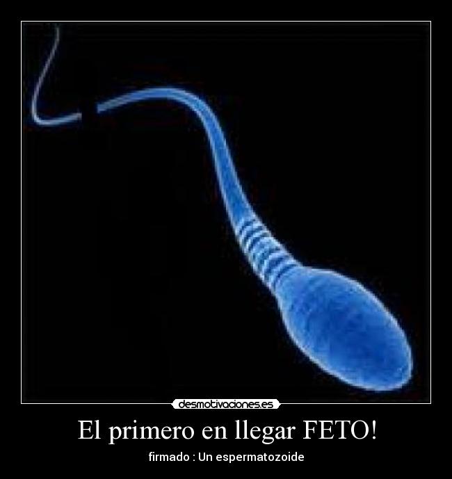 El primero en llegar FETO! - 
