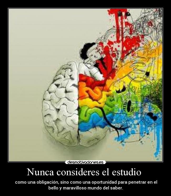 Nunca consideres el estudio -