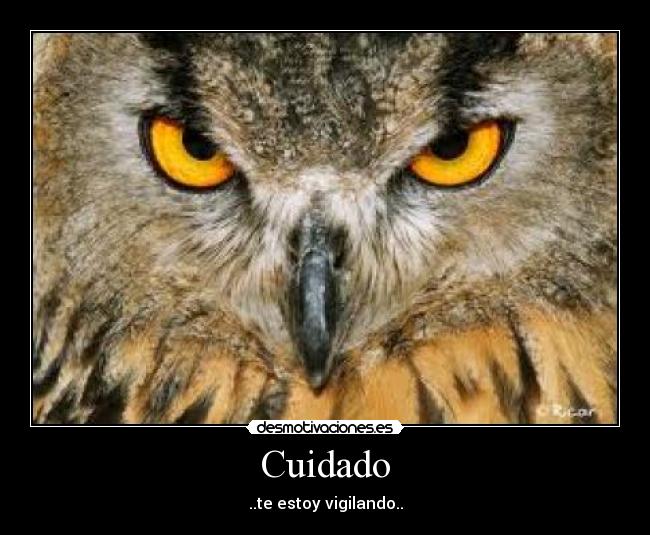 Cuidado - ..te estoy vigilando..