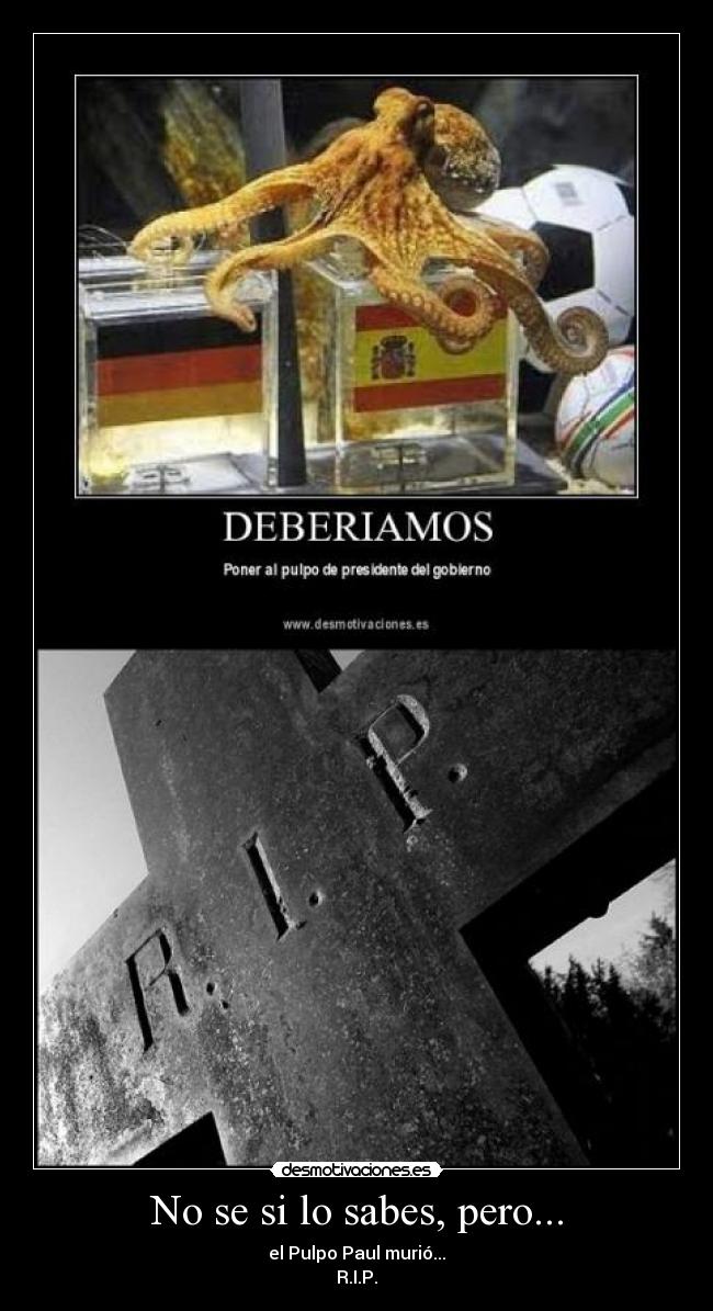 No se si lo sabes, pero... -