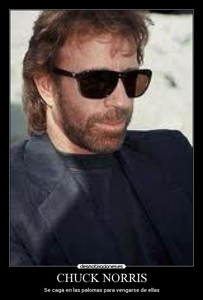 CHUCK NORRIS -