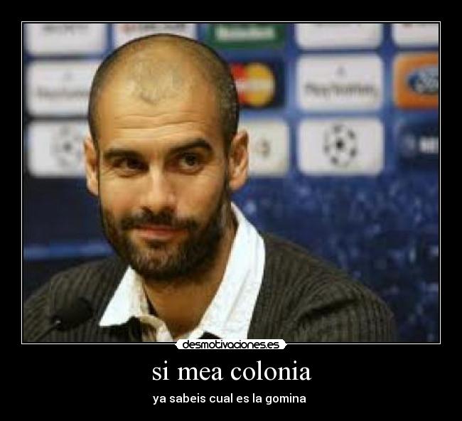 carteles gomina desmotivaciones