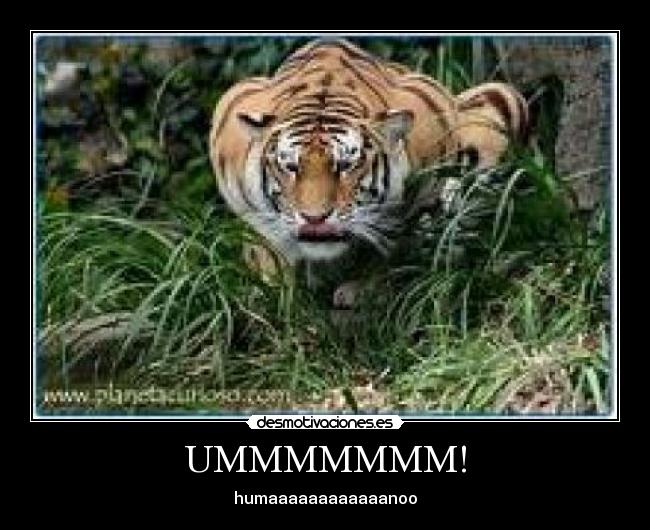 UMMMMMMM! - humaaaaaaaaaaaanoo