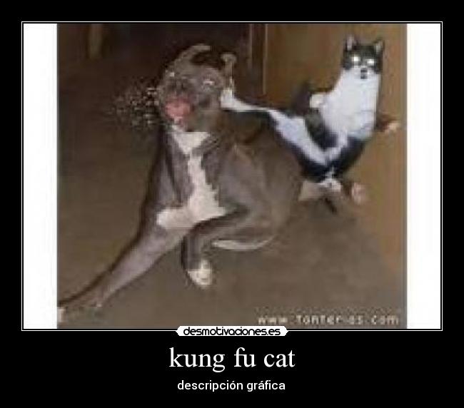 kung fu cat - descripción gráfica 