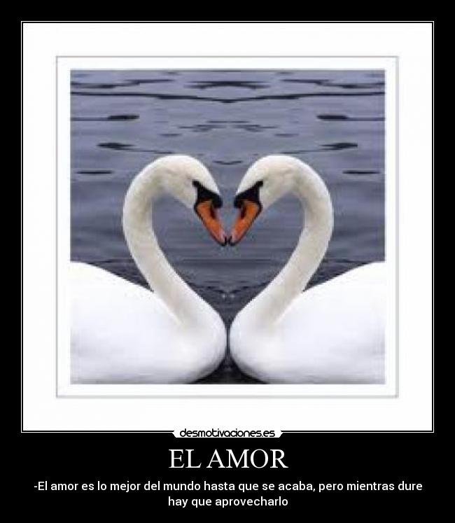EL AMOR -