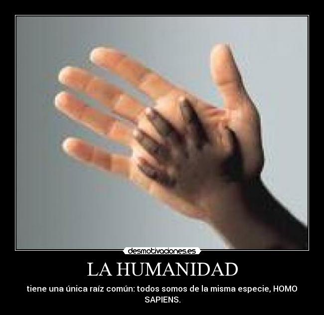 LA HUMANIDAD - tiene una única raíz común: todos somos de la misma especie, HOMO SAPIENS.