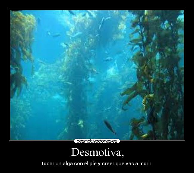 Desmotiva, -