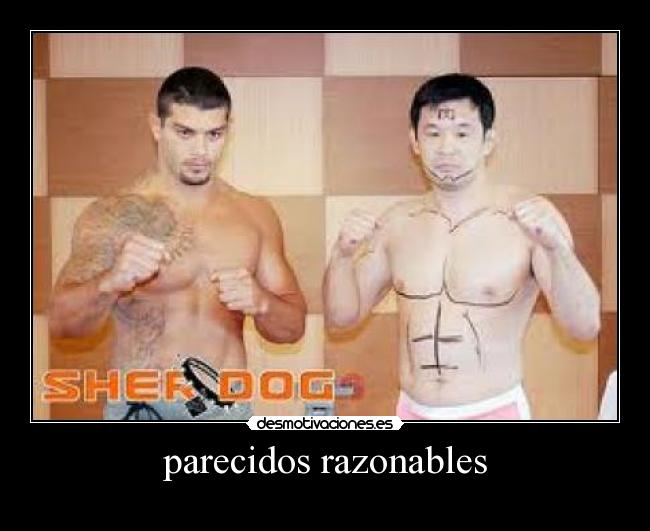 parecidos razonables -