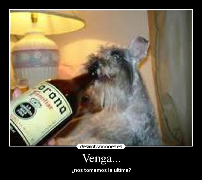 Venga... - ¿nos tomamos la ultima?