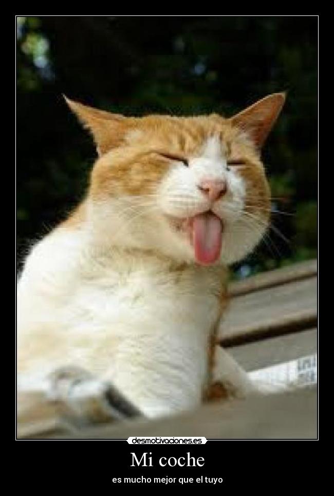 Mi coche -