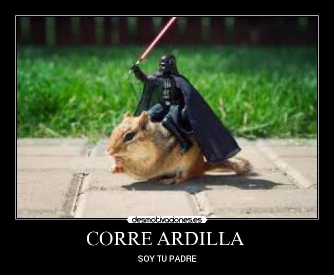 CORRE ARDILLA  - 