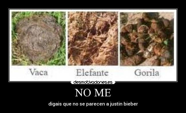 NO ME - digais que no se parecen a justin bieber