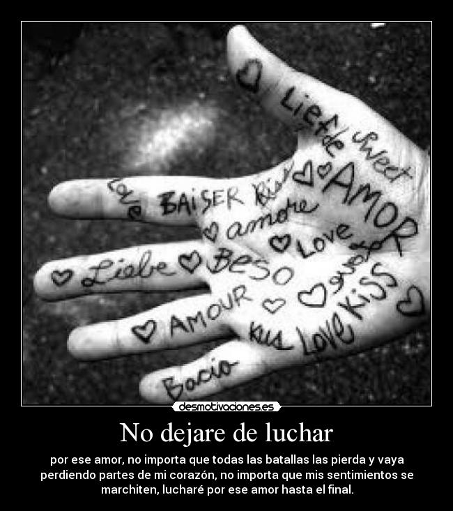 No dejare de luchar -