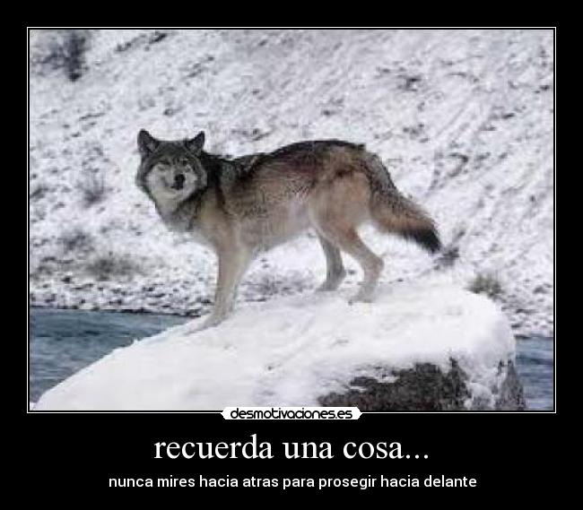 recuerda una cosa... -