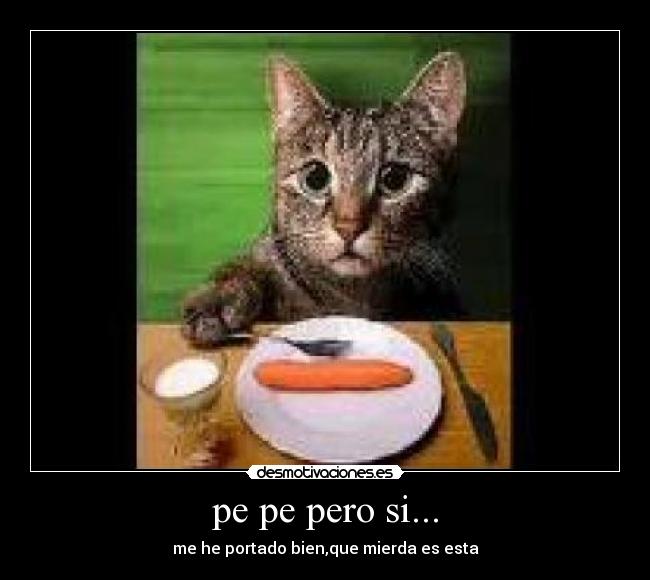 pe pe pero si... - me he portado bien,que mierda es esta