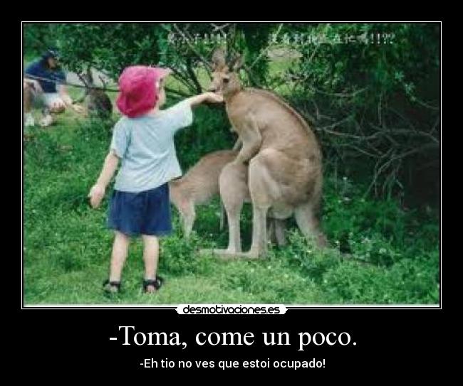 -Toma, come un poco. - 