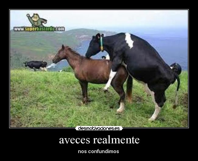 aveces realmente - 