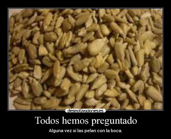 carteles todos desmotivaciones