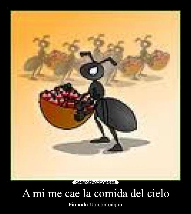 A mi me cae la comida del cielo - Firmado: Una hormigua
