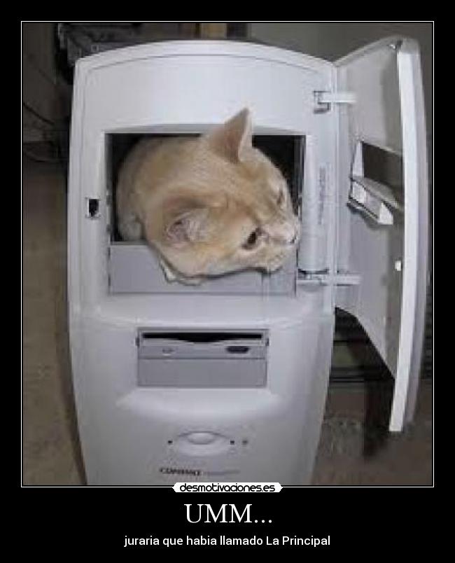 UMM... - juraria que habia llamado La Principal