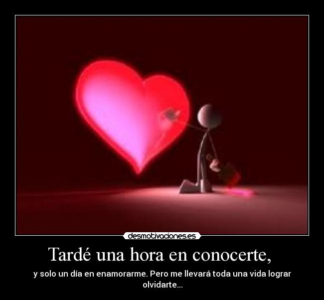 Tardé una hora en conocerte, -